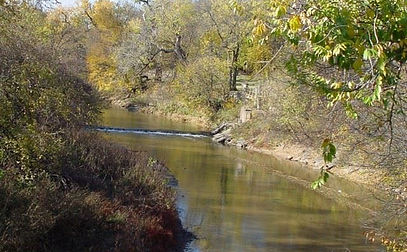 stream in a wooded area